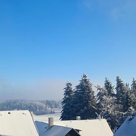 Pension Thueringer Wald Reichmannsdorf Kültér fotó