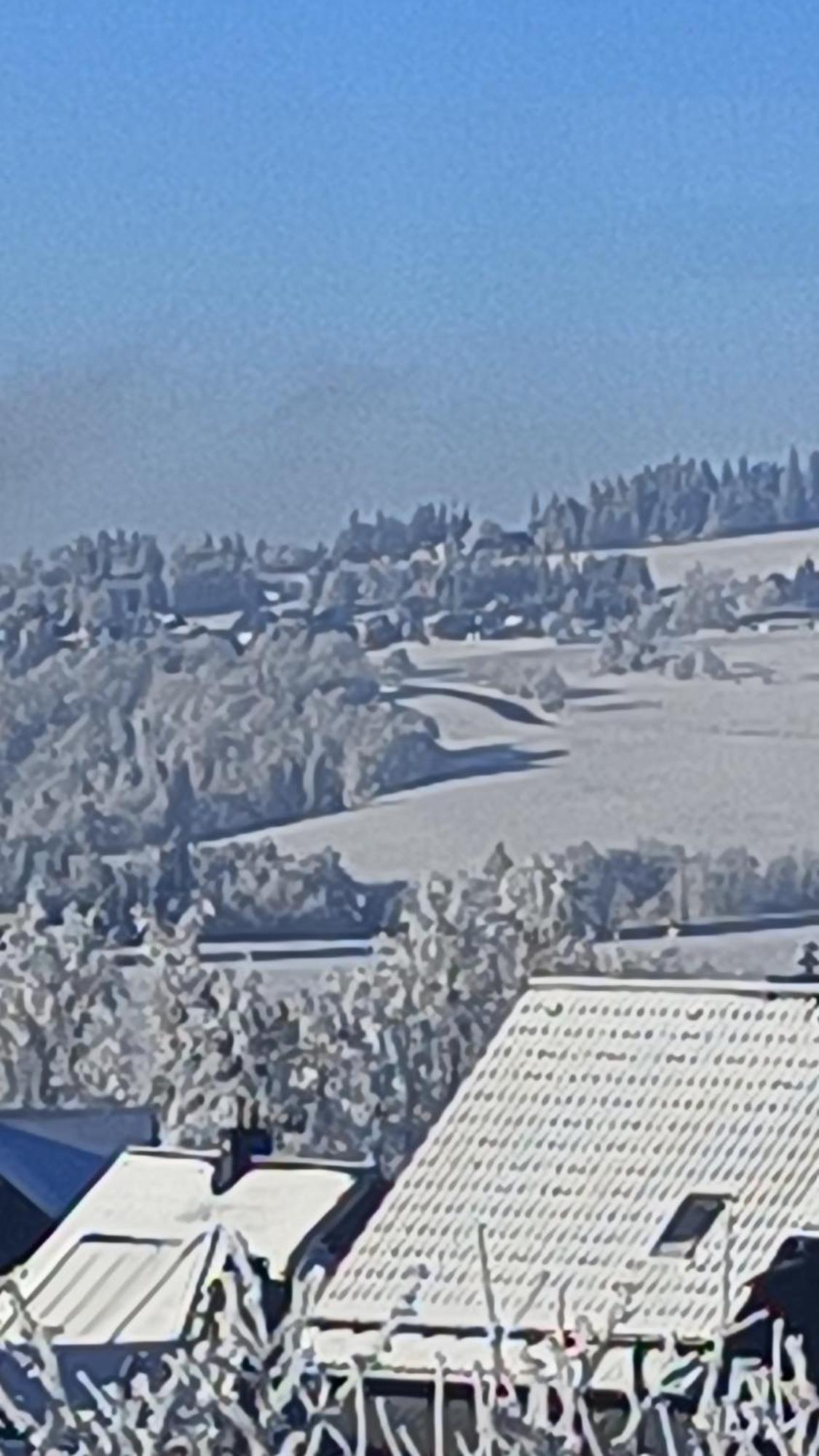 Pension Thueringer Wald Reichmannsdorf Kültér fotó